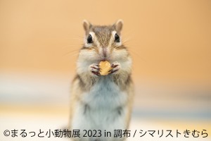 20230317「まるっと小動物展 2023 in 調布」