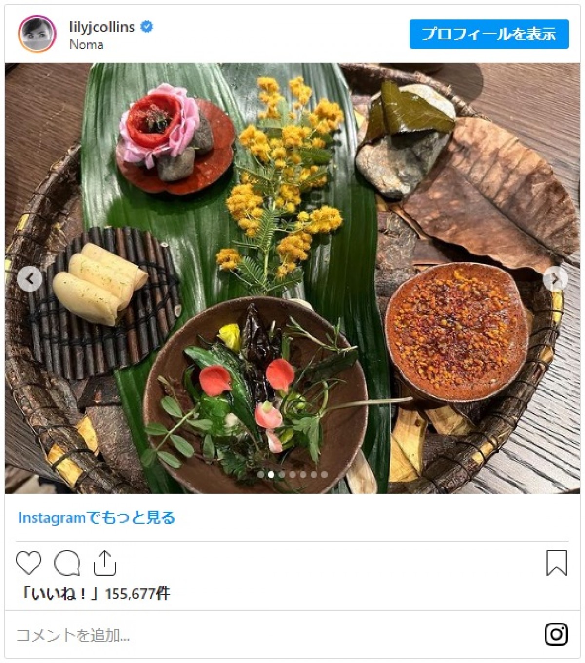リリー・コリンズ、日本を満喫し帰国　お花見＆ゲーセンではプリクラも堪能