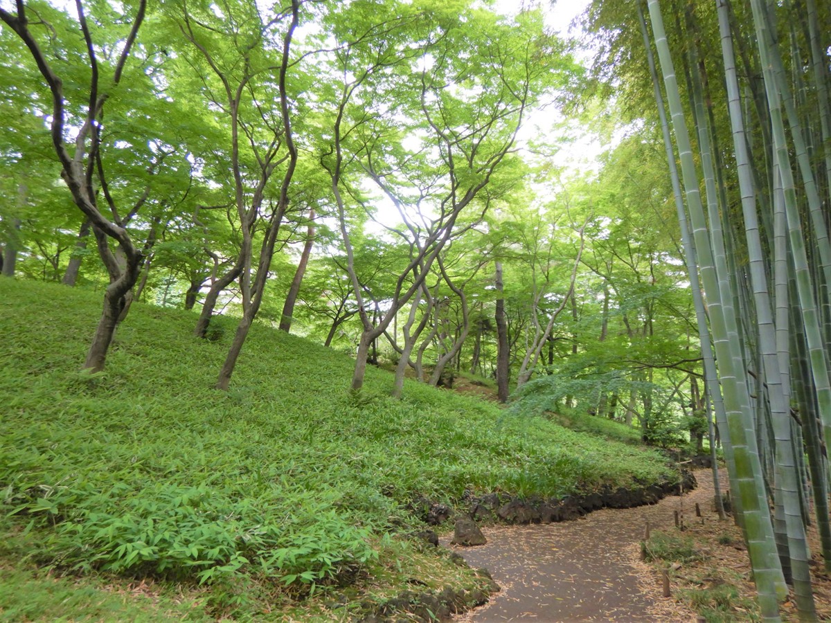 20230417「都立9庭園の無料開園」