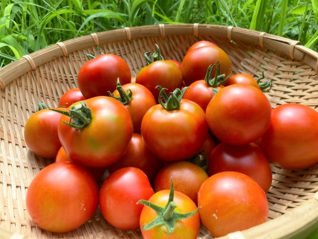 農林水産省が”夏にうれしいトマト”の食べ方を伝授！ 「この発想はなかった」と反響