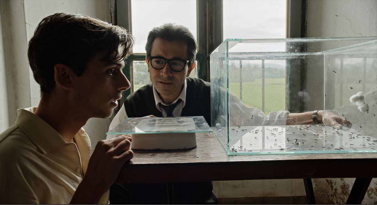 同性愛者の過酷な史実をもとにしたイタリア映画『蟻の王』予告編・場面写真が解禁