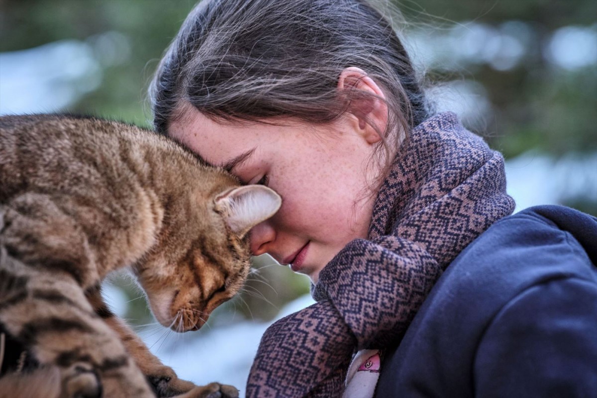 ＜世界猫の日＞『ルー、パリで生まれた猫』“猫LOVE”満載の予告編2種＆猫チラシ解禁