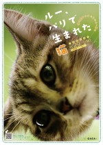 映画『ルー、パリで生まれた猫』チラシ