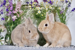 東京で「うさぎしんぼる展」開催へ！　過去最大規模の展示＆限定グッズが集結