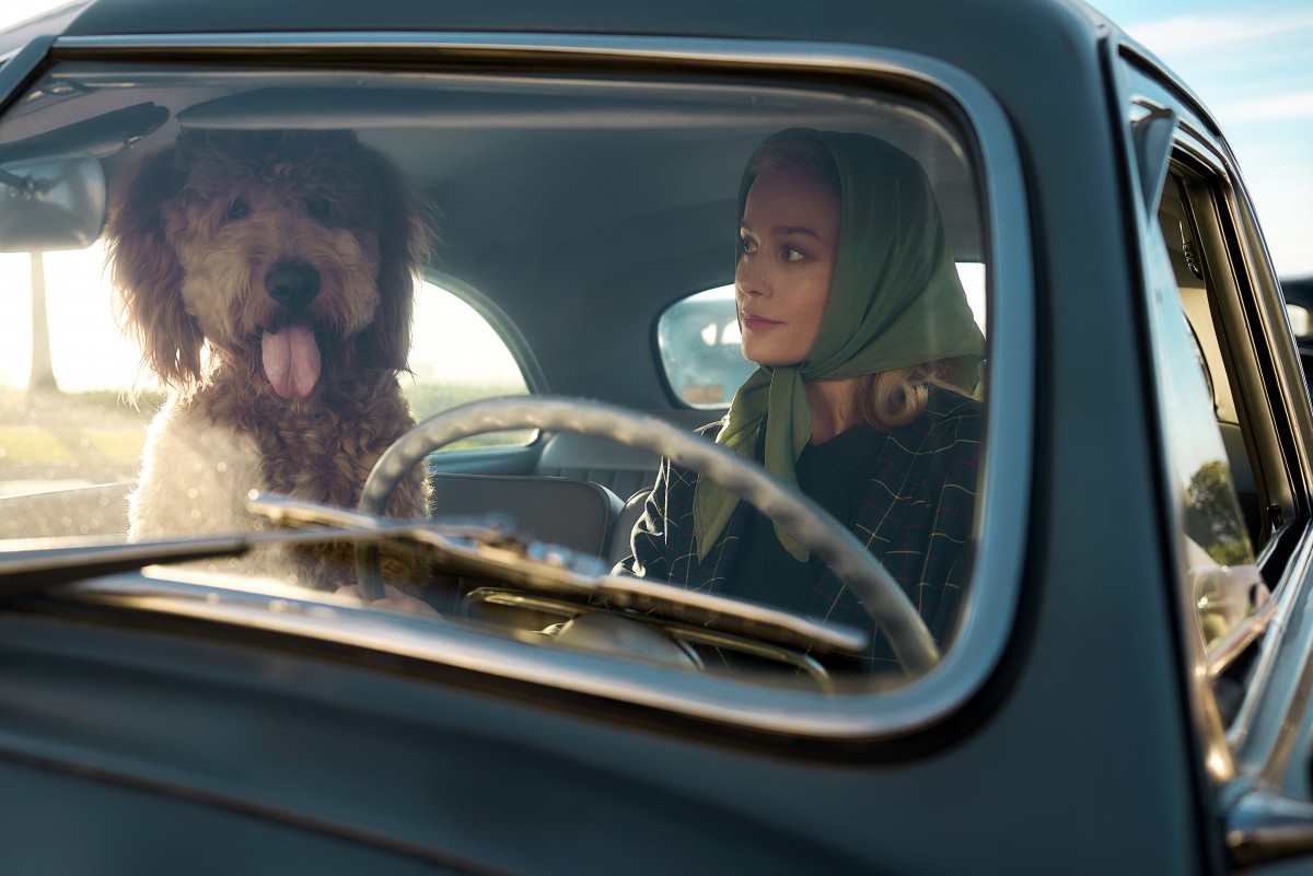 ブリー・ラーソン主演『レッスン in ケミストリー』配信開始　科学者を目指す女性を描いたApple TV＋新作ドラマ