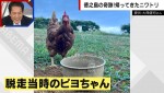 19日放送の『ABEMA的ニュースショー』より