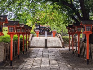 【アフィリエイト記事】11月上旬の予約数が多いホテルを紹介！