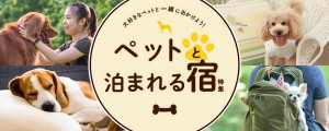 【アフィリエイト記事】じゃらん、ペットと泊まれる宿