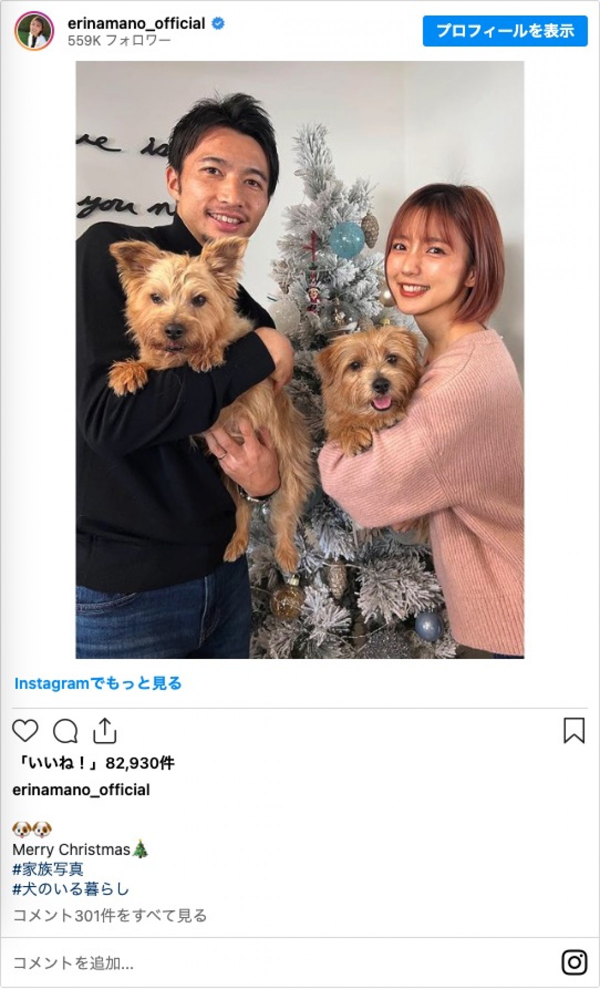 真野恵里菜、夫・柴崎岳とのクリスマス家族写真を披露「今年も美男美女」「ステキな家族写真」
