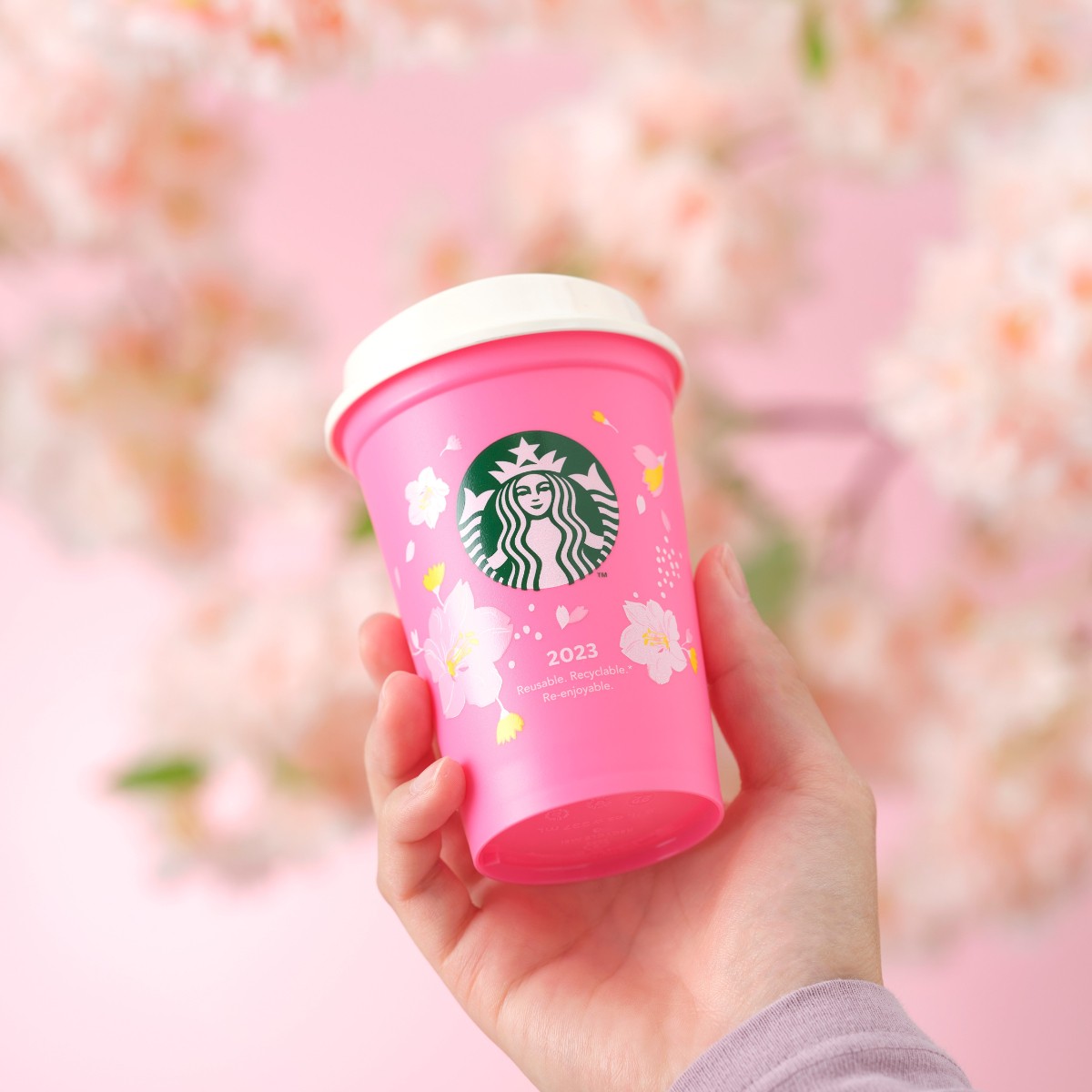 20230307スターバックス桜