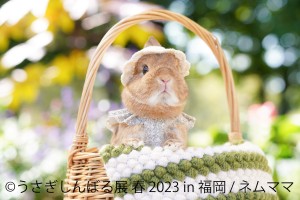  230217_うさぎしんぼる展 春 2023