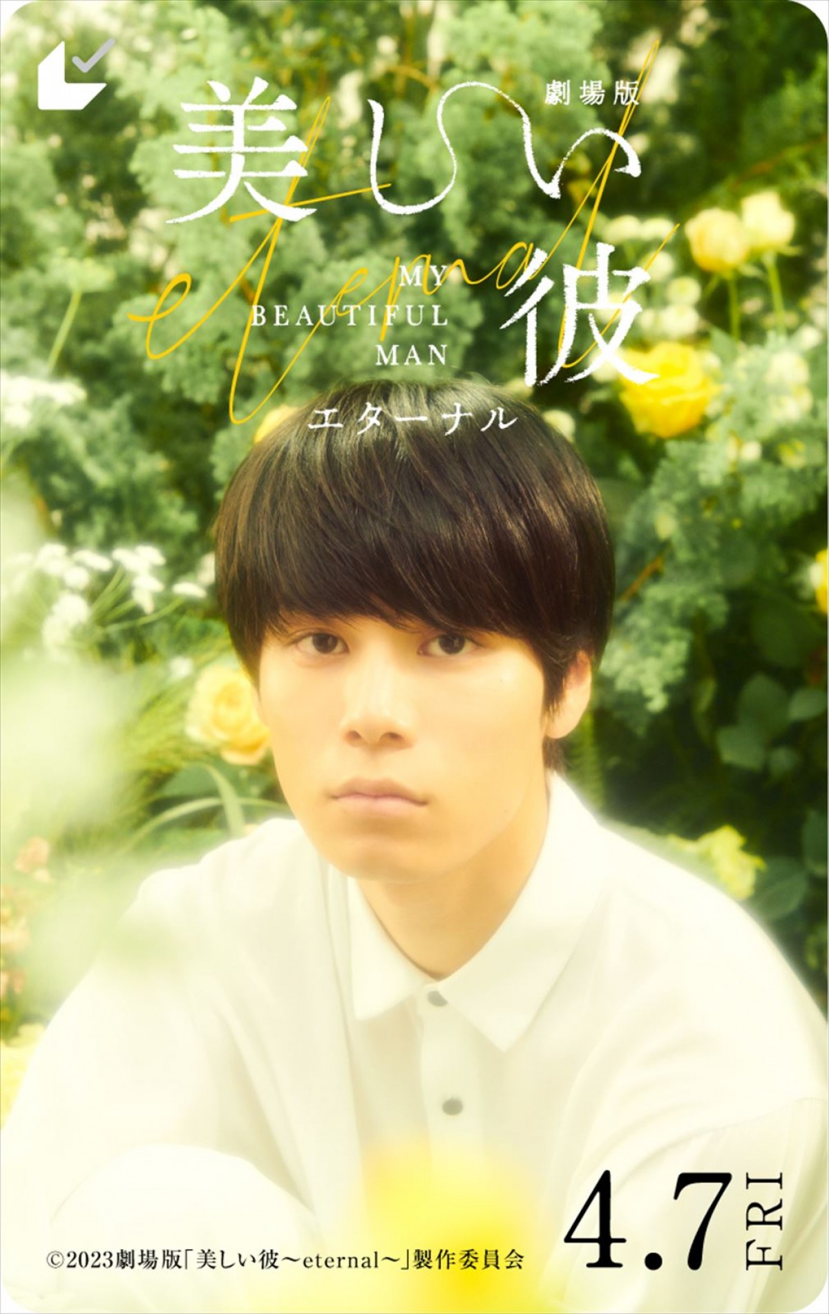 前田拳太郎＆池田大、『劇場版 美しい彼〜eternal〜』追加キャストに決定　本予告も解禁