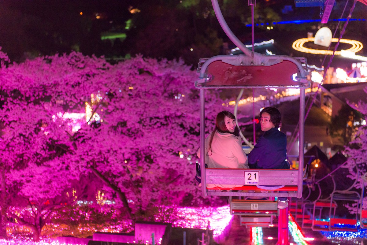 20230314さがみ湖桜まつり