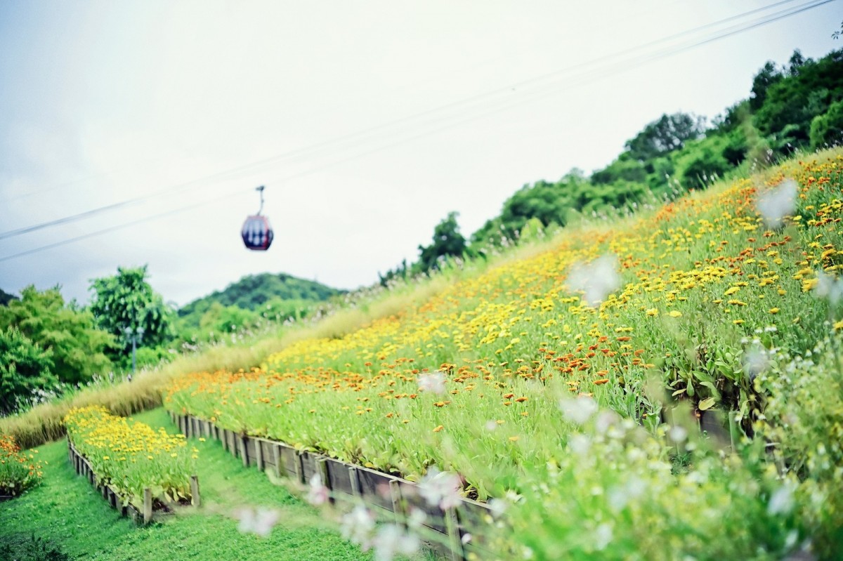「GARDEN FEST 2023 -Spring-」