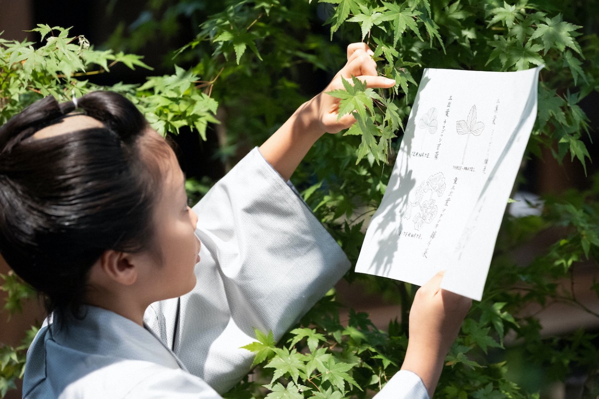 明日の『らんまん』小学校開校　授業がつまらない“万太郎”小林優仁は思いもよらない決断をする
