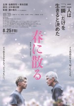 【動画】横浜流星が鍛えあげられた肉体と本格的な構えを見せる！　映画『春に散る』特報
