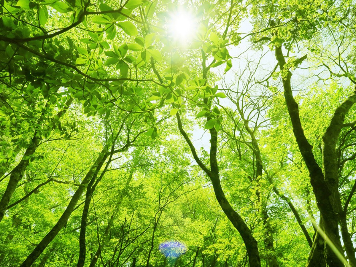 230425_OC Awaji ‐オーシーアワジ‐