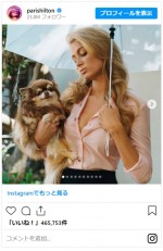 パリス・ヒルトンの愛犬ハラジュクビッチ、23歳で天国へ　※「パリス・ヒルトン」インスタグラム