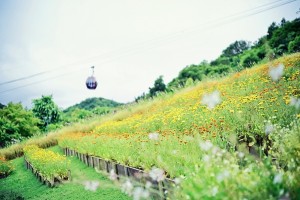 230515_春の収穫祭2023