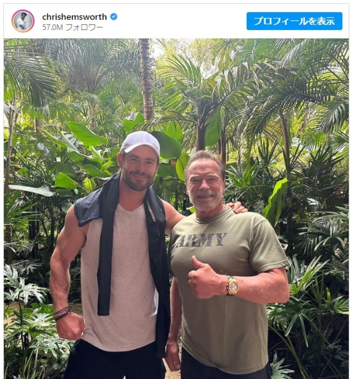 アーノルド・シュワルツェネッガーとジムで遭遇し「夢のよう」 ※「クリス・ヘムズワース」インスタグラム