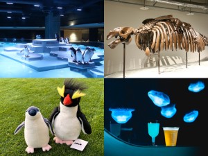 北海道・札幌の“都市型水族館”3フロアからなる館内展示が完成！　フード＆グッズの詳細も発表