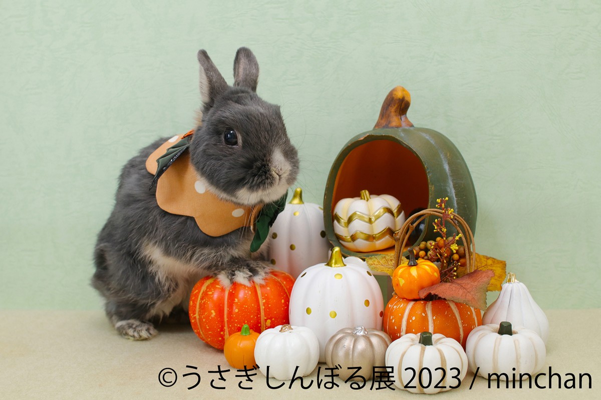 20230816「うさぎしんぼる展 2023」