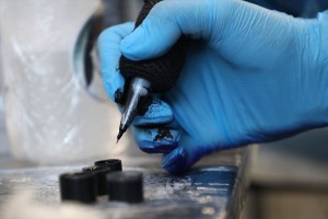 両親の断りもなく7歳の姪にタトゥー…　叔母が通報される