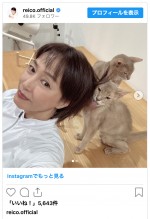 高島礼子、愛猫との仲良しショット　※「高島礼子」インスタグラム