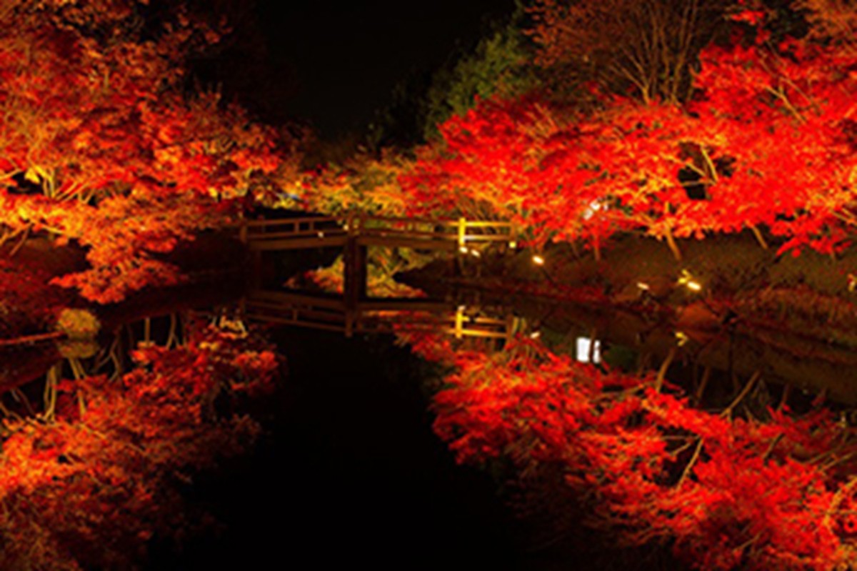 20231012「じゃらん 夜の紅葉絶景ランキング」