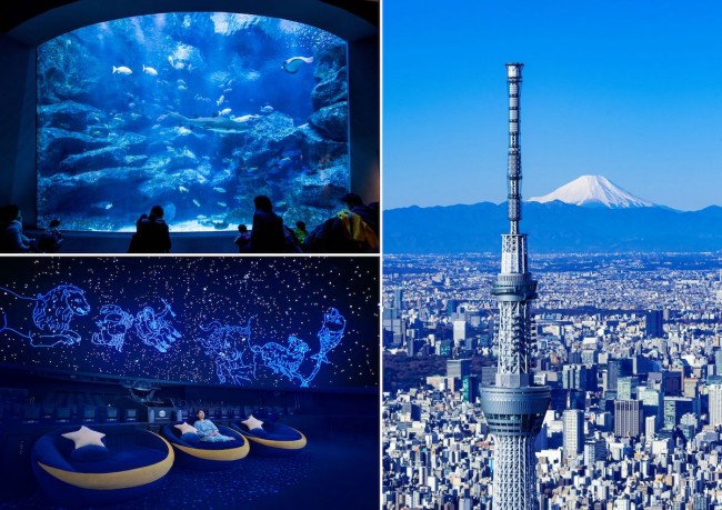 東京スカイツリータウン「福袋」登場！　すみだ水族館＆プラネタリウムのお得な入場券セットも