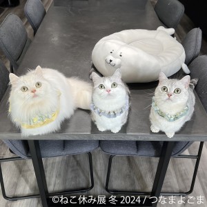 231218_「ねこ休み展」2024年初の“冬の本祭”開催へ！