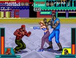 『アーケードアーカイブス ソリタリーファイター』スクリーンショット