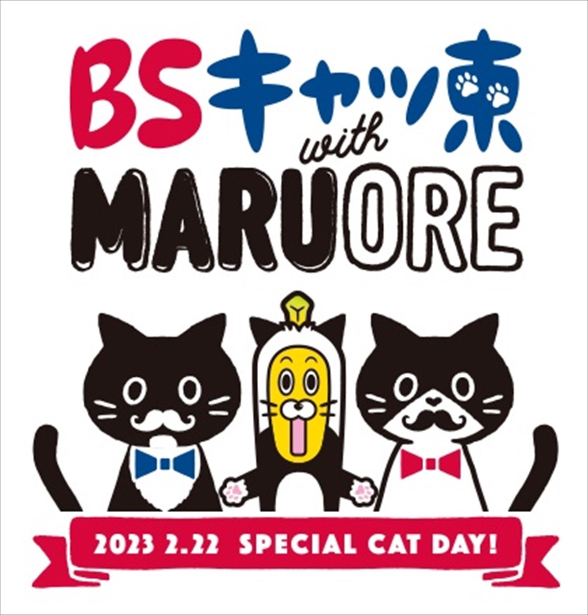 藤あや子の愛猫・マルくん＆オレオちゃん、今年も「BSキャッ東」社長を続投