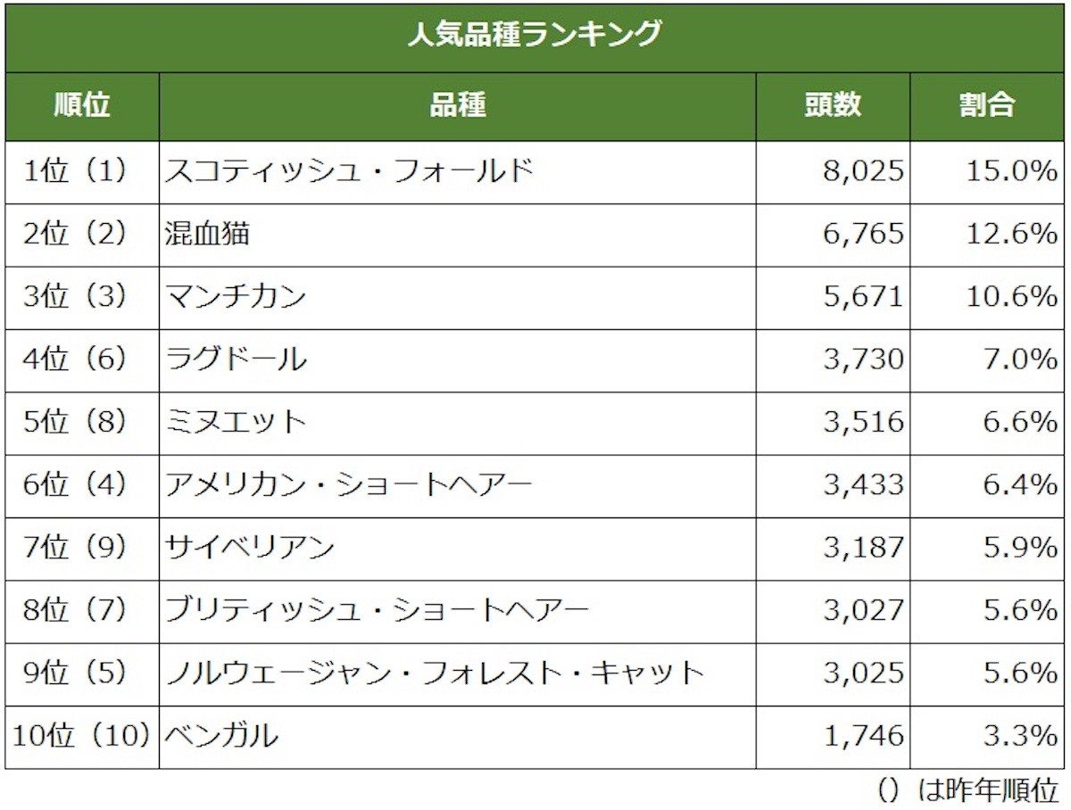 「猫の名前＆人気猫種ランキング」