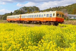 20230210「この春旅行に行きたい都道府県ランキング」