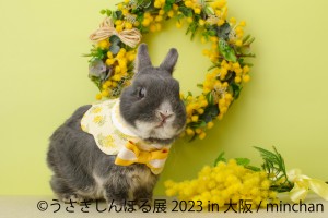 大阪「うさぎしんぼる展 2023」