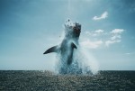 【写真】超巨大ザメがボート粉砕！ 家族が絶体絶命　『ブラック・デーモン』場面写真