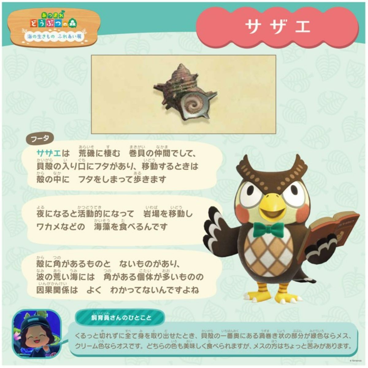 20230607_あつまれ どうぶつの森 × 上越市立水族博物館 うみがたり 海の生きもの ふれあい展