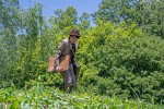 連続テレビ小説『らんまん』第83回より