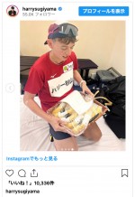 100kmマラソンの舞台裏も披露　※「ハリー杉山」インスタグラム