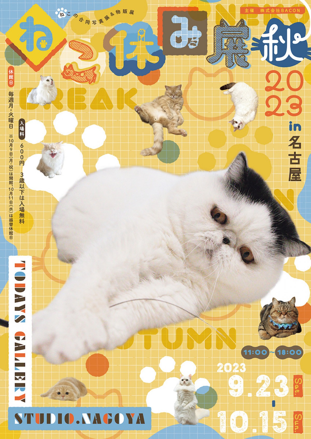 230831_ねこ休み展
