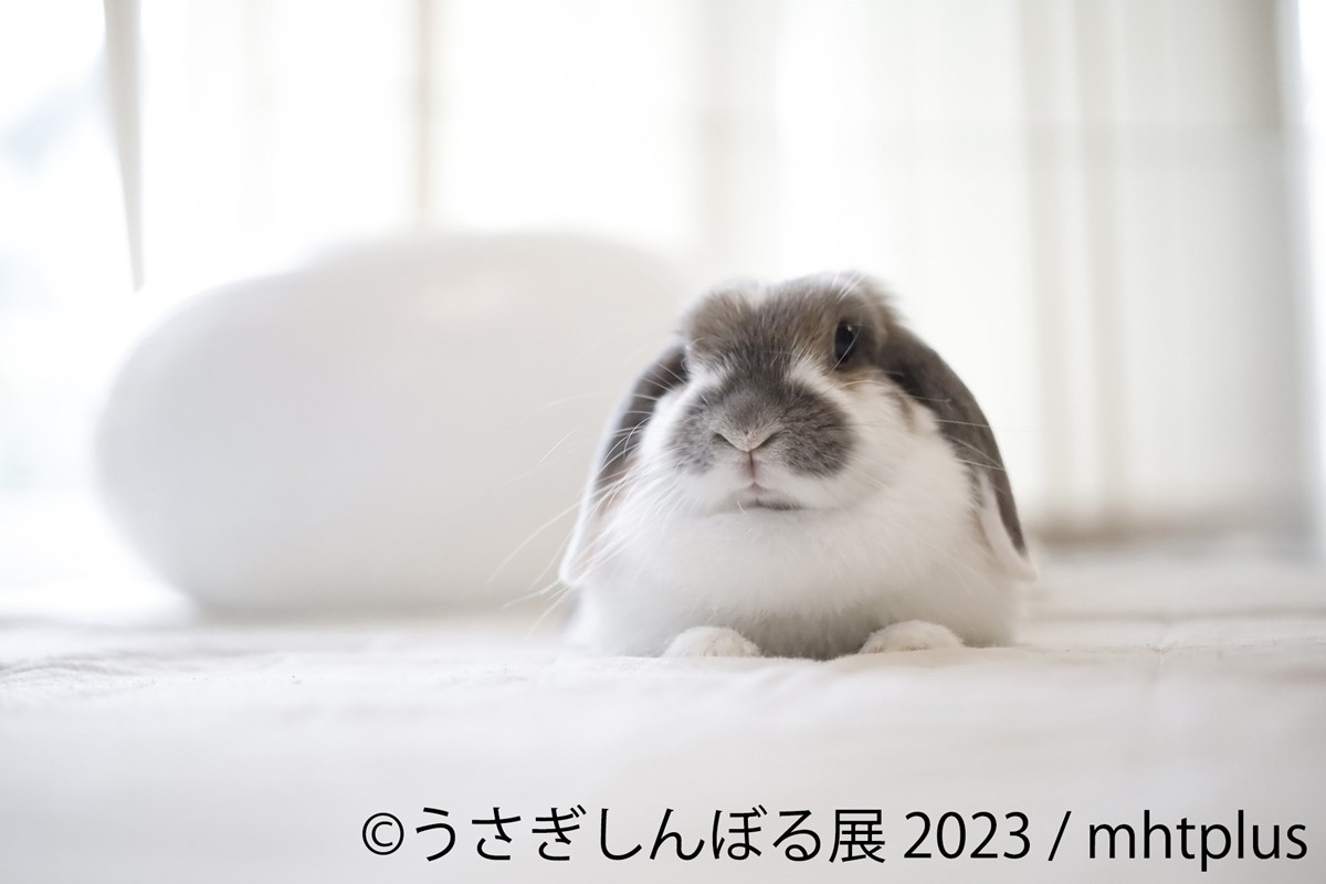 20230816「うさぎしんぼる展 2023」