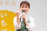 福井県産ブランド米「いちほまれ」新CM発表会2023に出席した大島優子