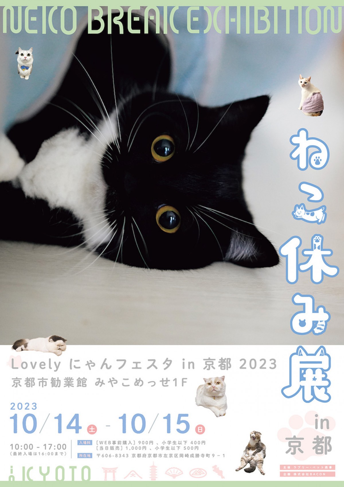 230913_ねこ休み展 in 京都