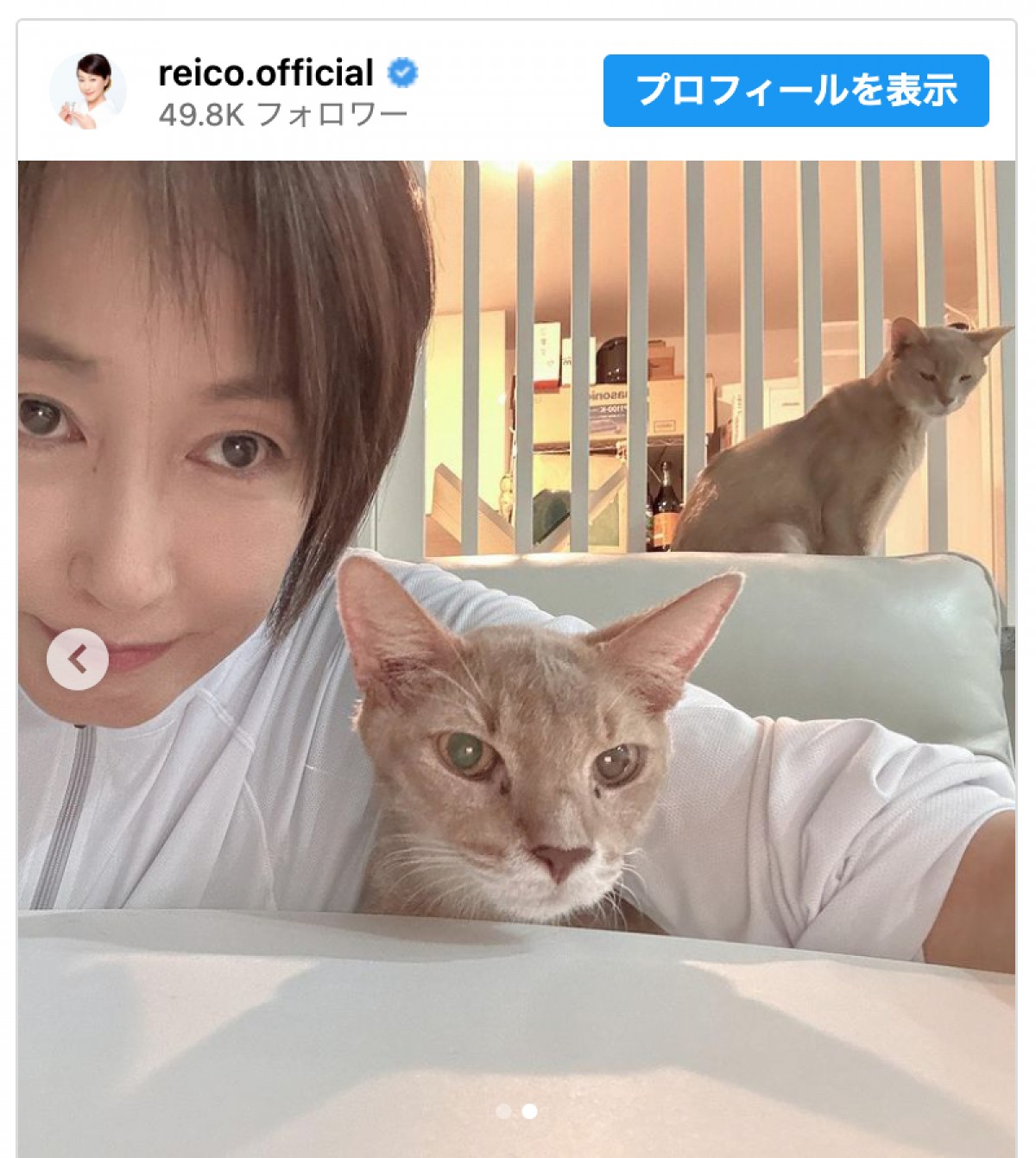 高島礼子、大きな仲間と思われてる？　お顔そっくりな愛猫とまったりオフショットに反響