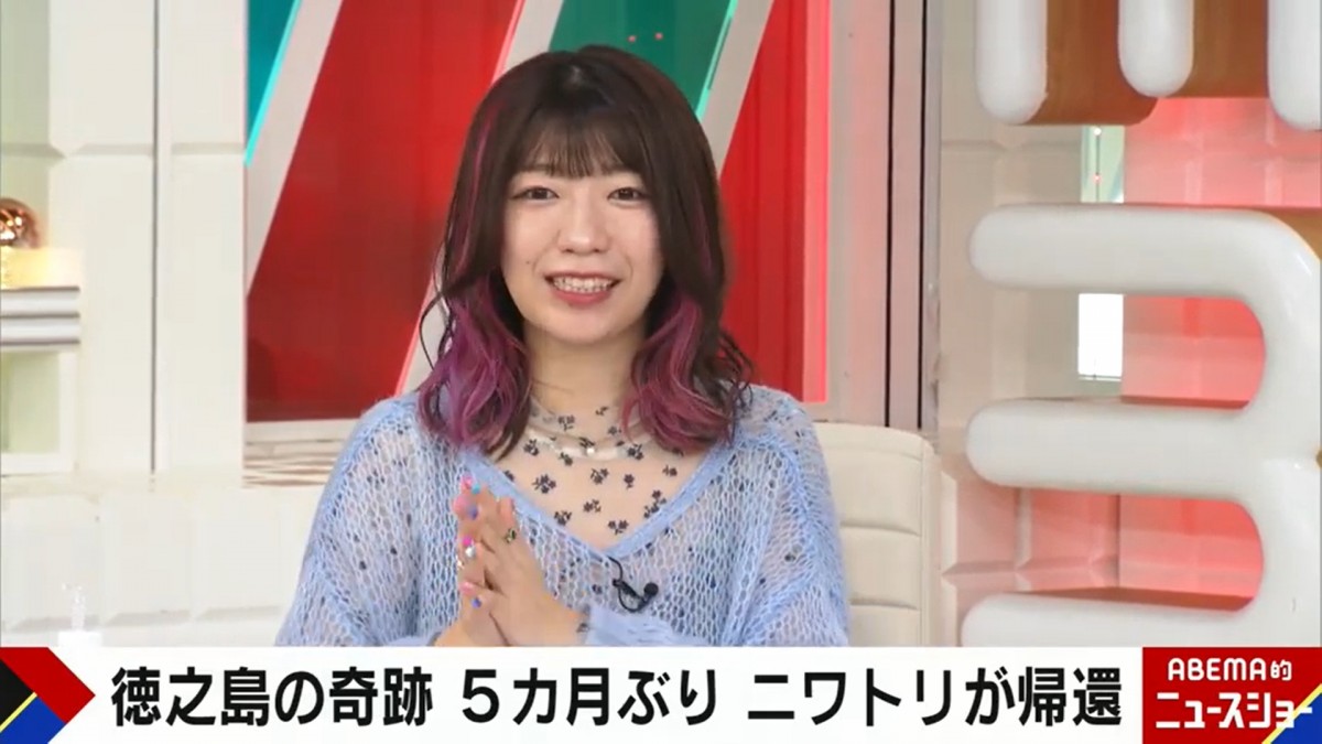「失踪したヒヨコがニワトリになり帰ってきた」奇跡の物語は“誤情報”　誤解の原因は？