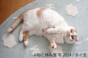 231218_「ねこ休み展」2024年初の“冬の本祭”開催へ！