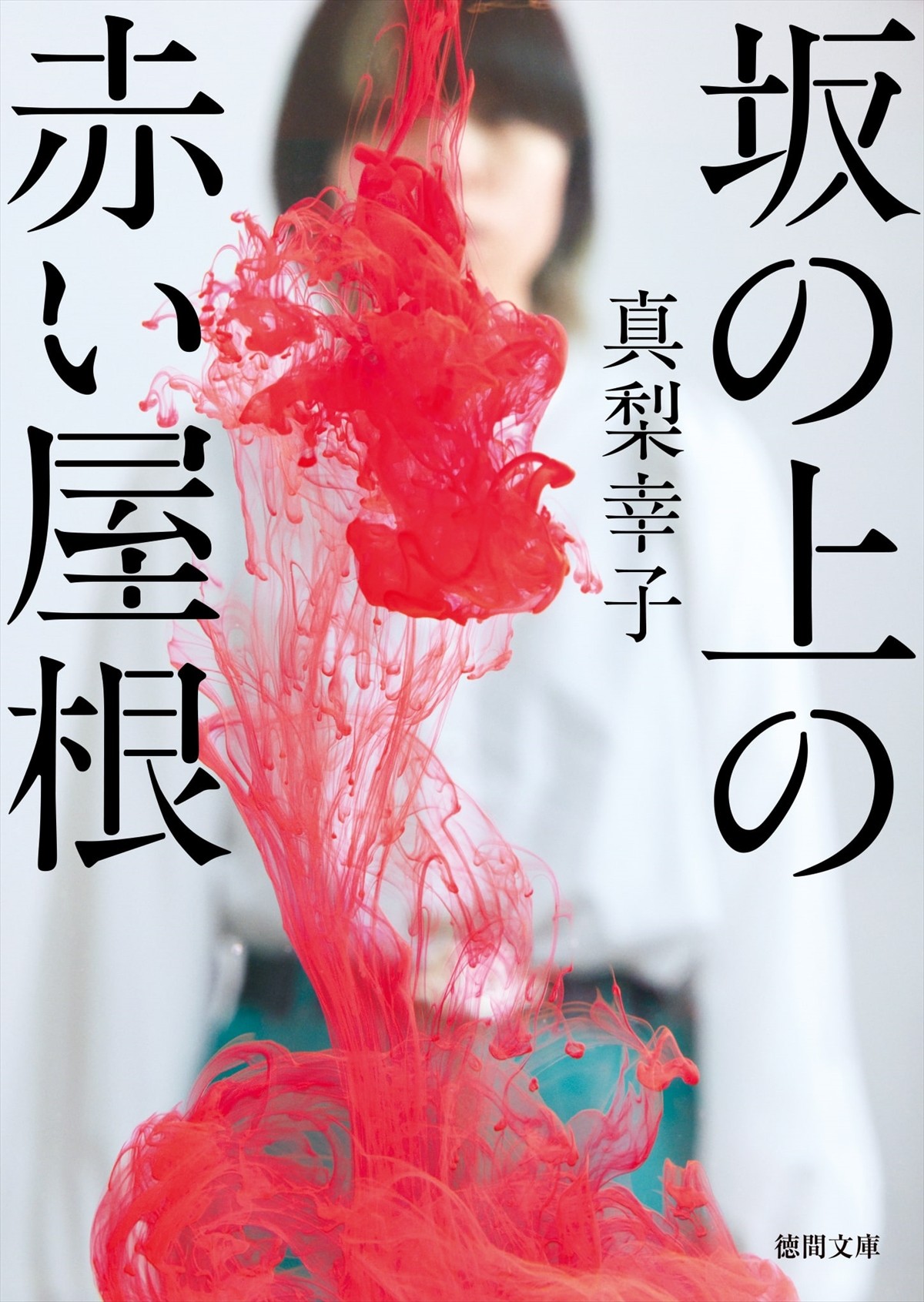 桐谷健太主演×“イヤミスの名手”真梨幸子原作『坂の上の赤い屋根』ドラマ化　共演に倉科カナ、A.B.C-Z・橋本良亮ら