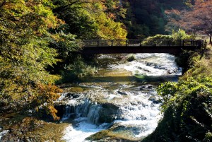 230106_brilliant-village Nikko