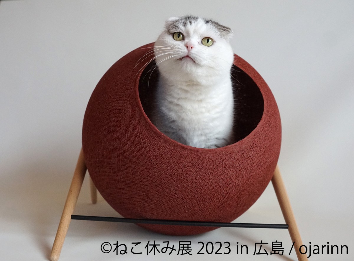 20230224_「ねこ休み展 2023 in 広島」